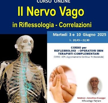 riflessologia-plantare-it-corso-nervo-vago-in-riflessologia